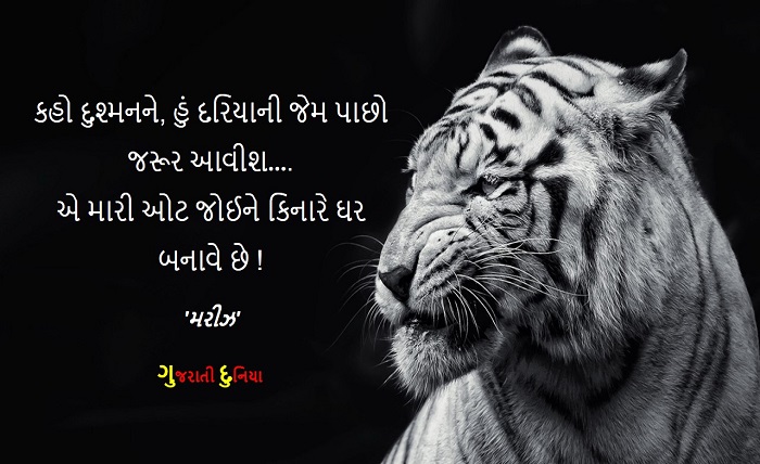 gujarati shayari attitude