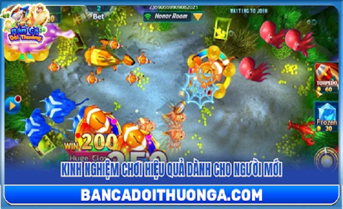 Fish Shooting Game