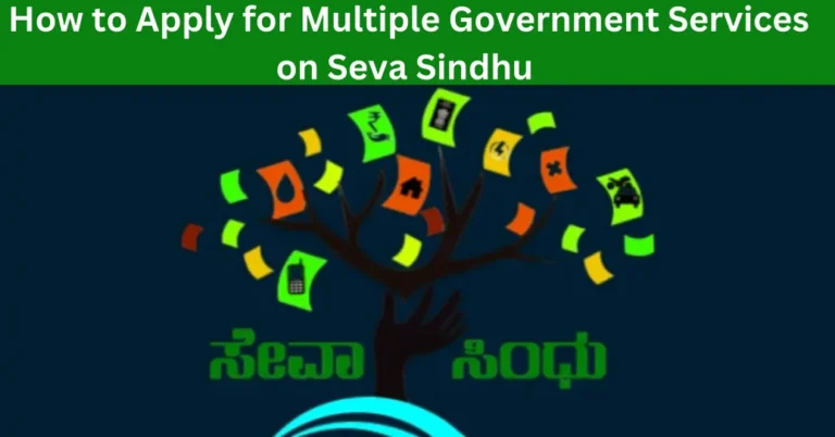 How to Apply for Multiple Government Services on Seva Sindhu