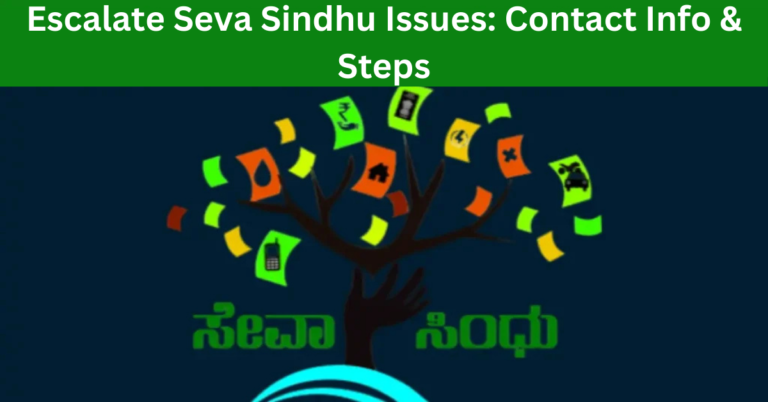 Escalate Seva Sindhu Issues: Contact Info & Steps